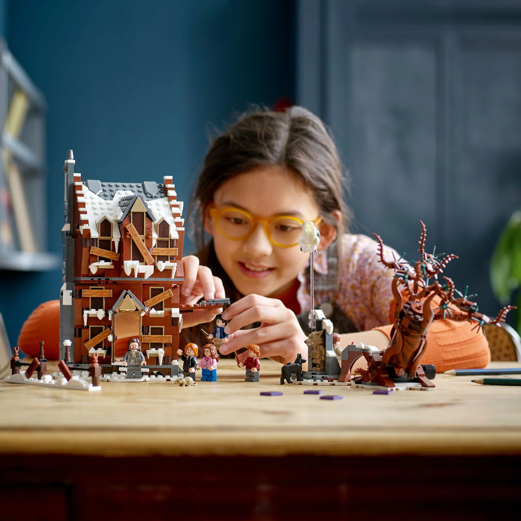 2 in 1 Wizarding World Toy T469863