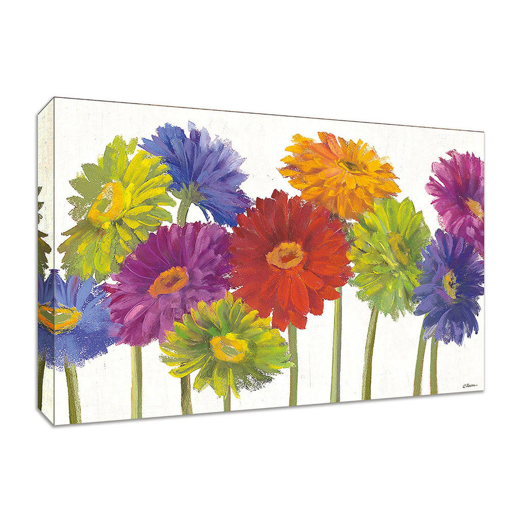 Colorful Gerbera Daisies Fine Art Giclee Print P75410