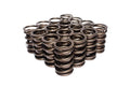 Dual Valve Springs D2641