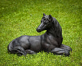 Garden Statue O529