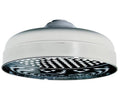 8x22 Shower Rose D42477