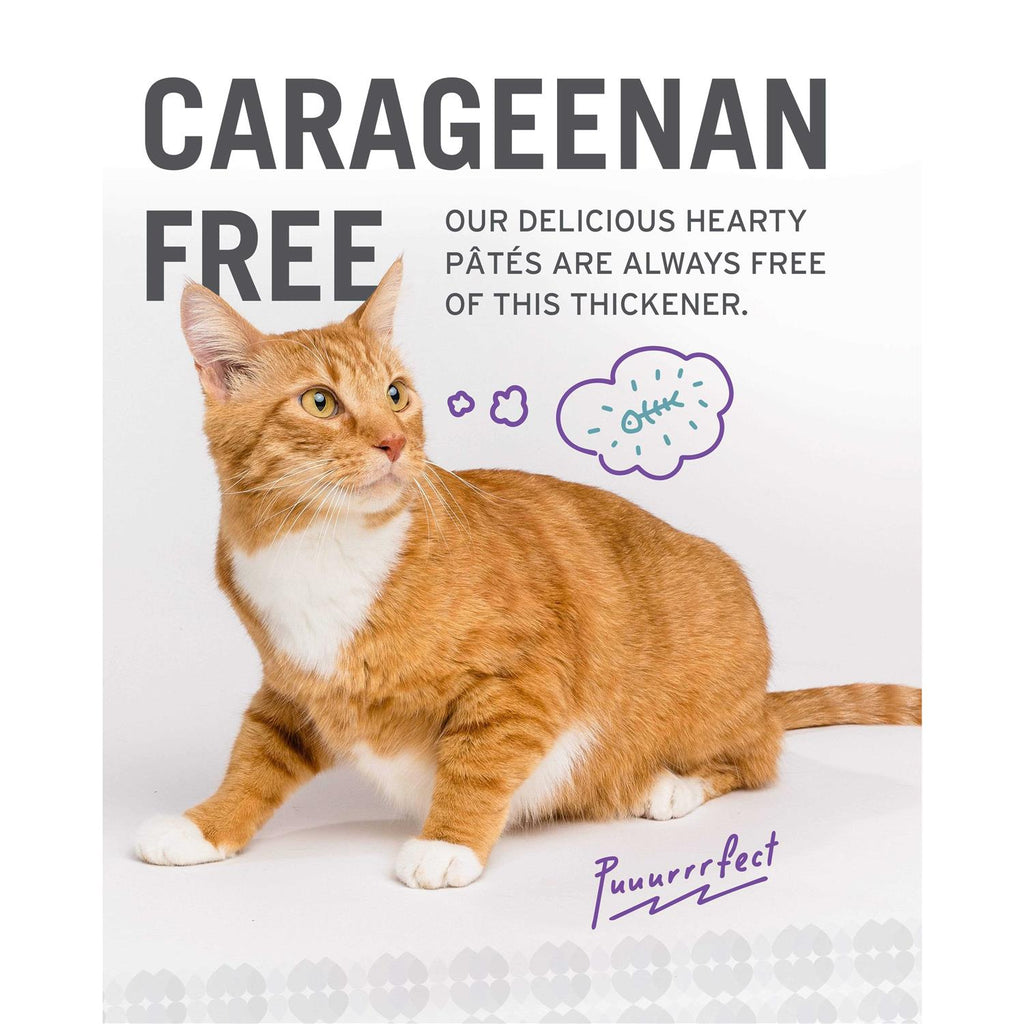 Grain Free Canned Cat Food V999