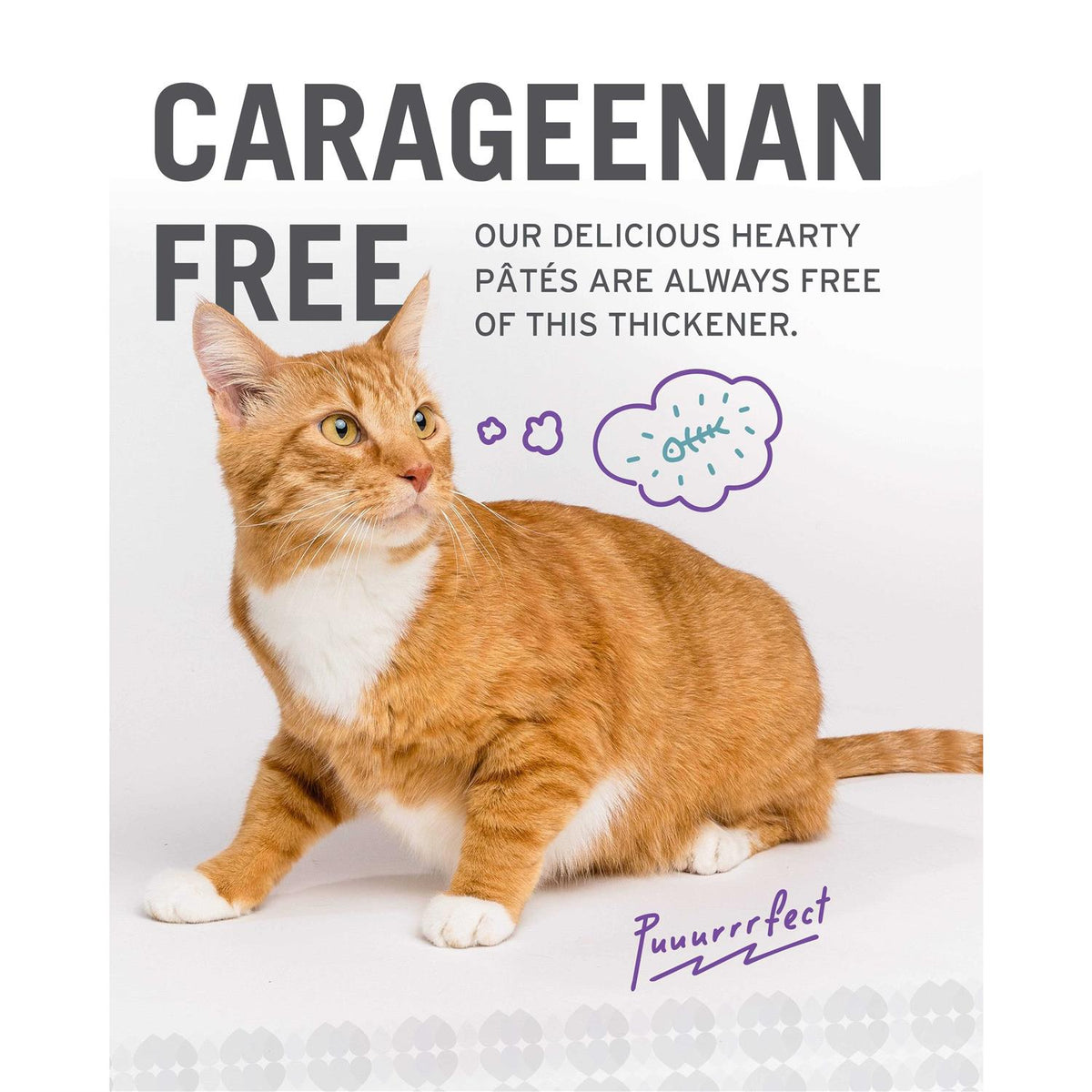 Grain Free Canned Cat Food V999