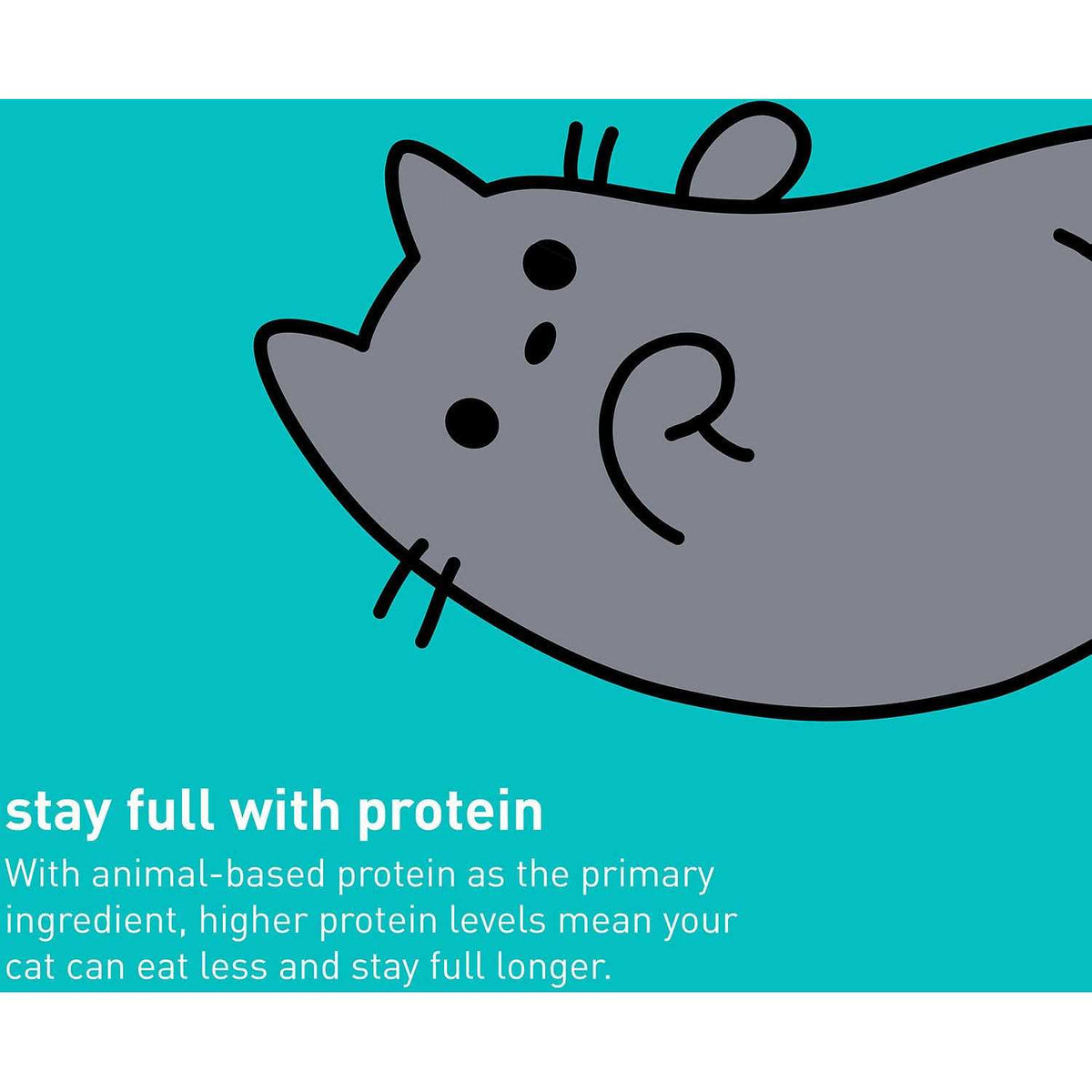 Wet Cat Food B7483