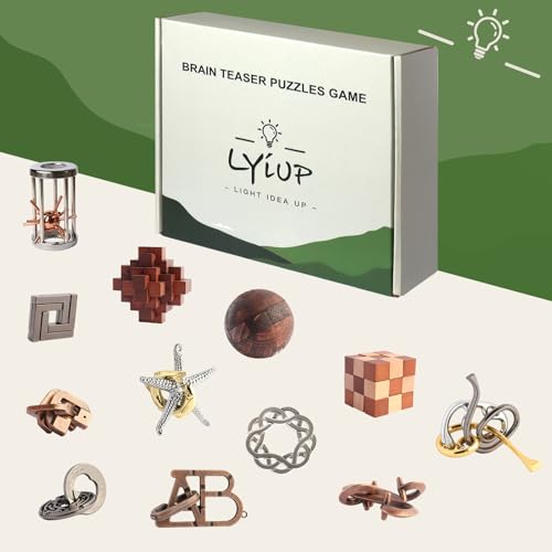 12pcs Wooden Metal Brain Teaser Puzzles V7086