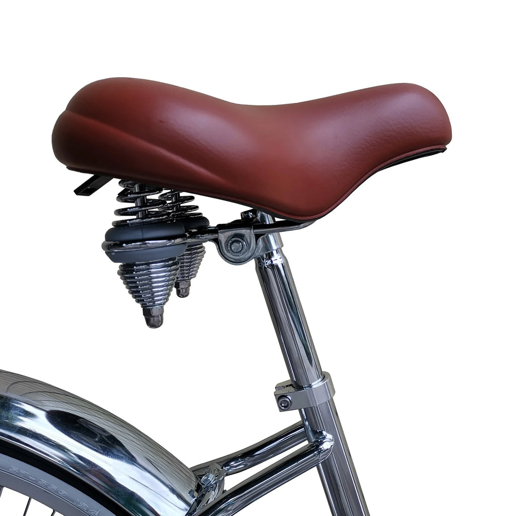 Beach Cruiser Bike Z1714