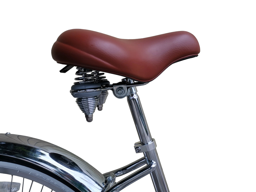Beach Cruiser Bike Z1714