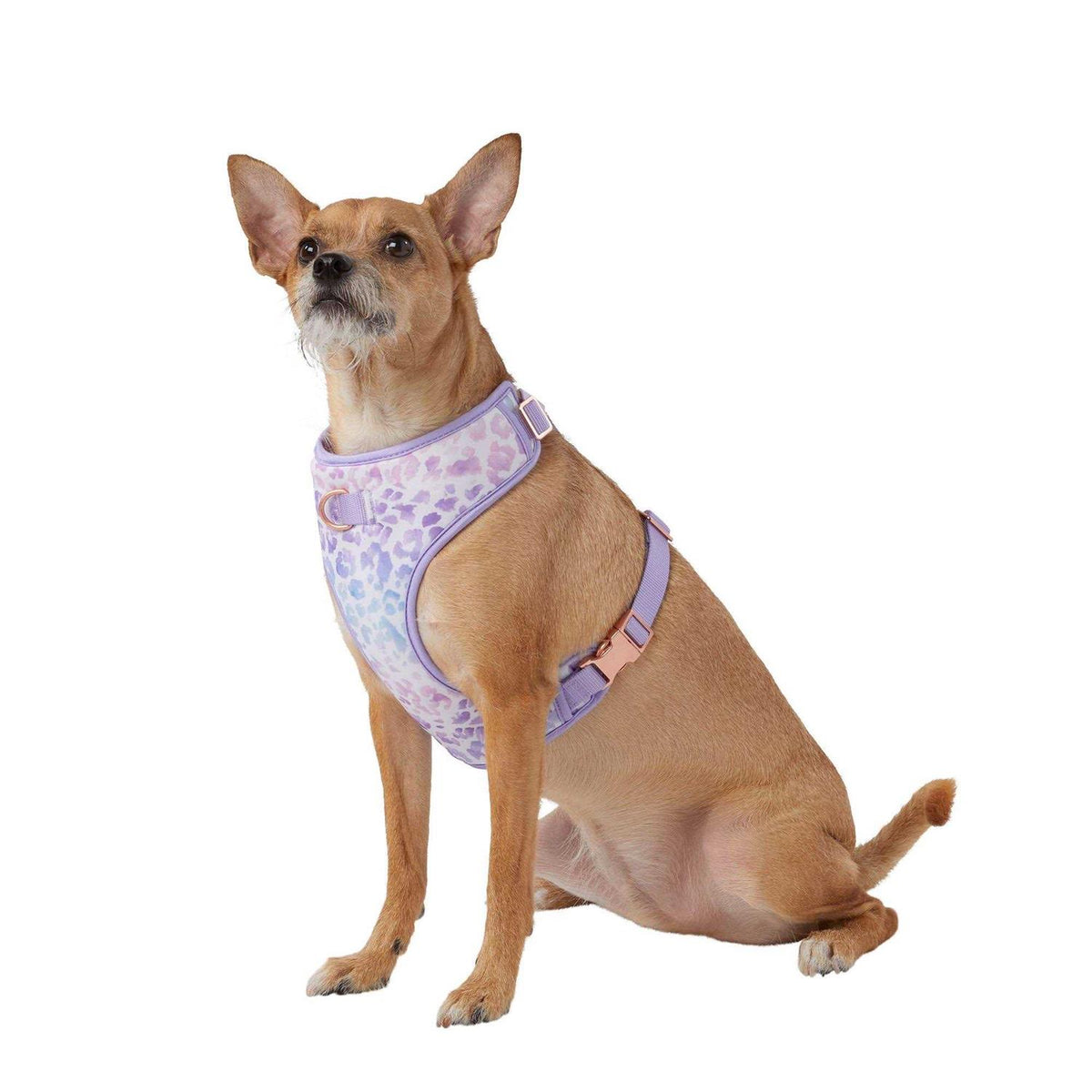 Dog Harness N333896