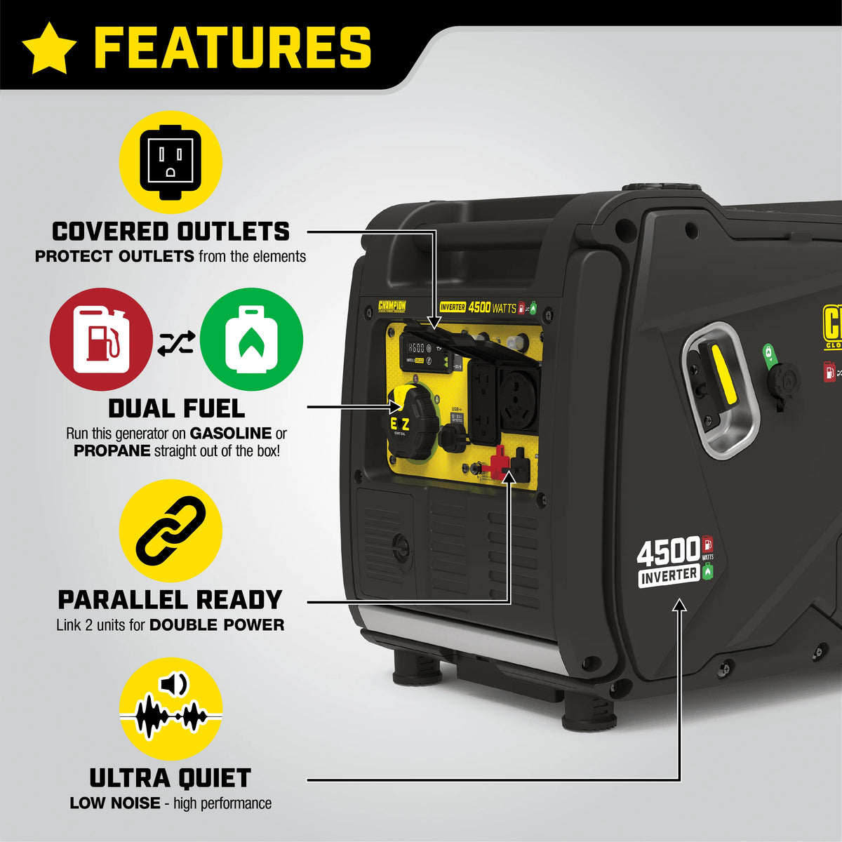 4500-Watt Portable Dual Fuel Inverter Generator F730