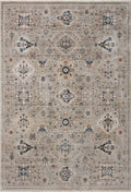 Dove Multi 6'7 x 9'6 Rug H902739
