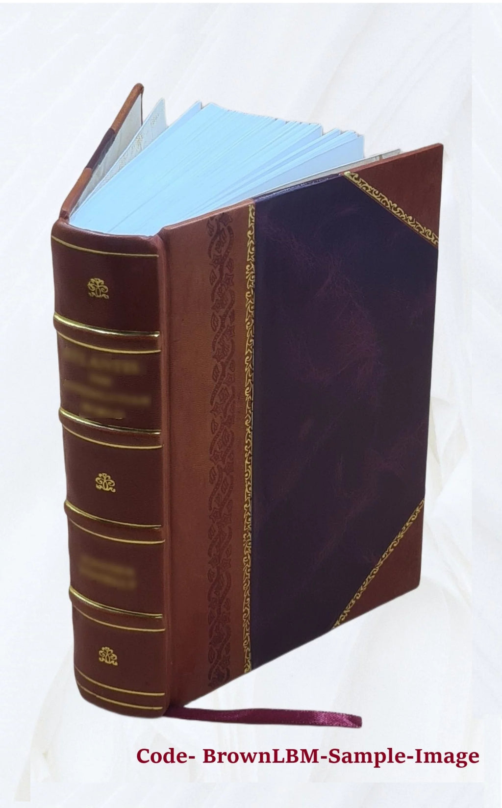 Zemský věstnik pro čechy. Volume 1870-71 1871 Leather Bound E336495
