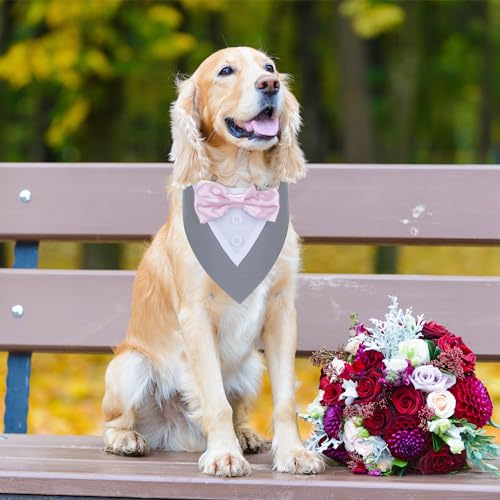 Red Plaid Dog Christmas Collar with Bowtie O83911