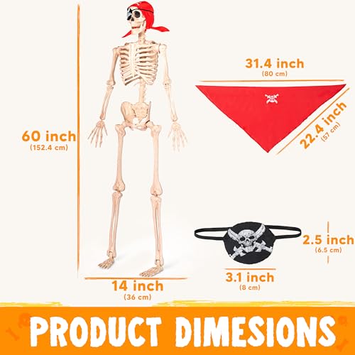 5 FT Life Size Posable Skeleton U33130