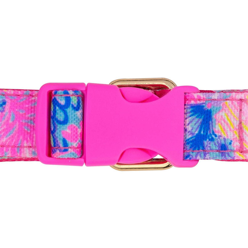 Dog Collar V471