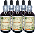 Dried Root Liquid Extract 5x2 oz I8941