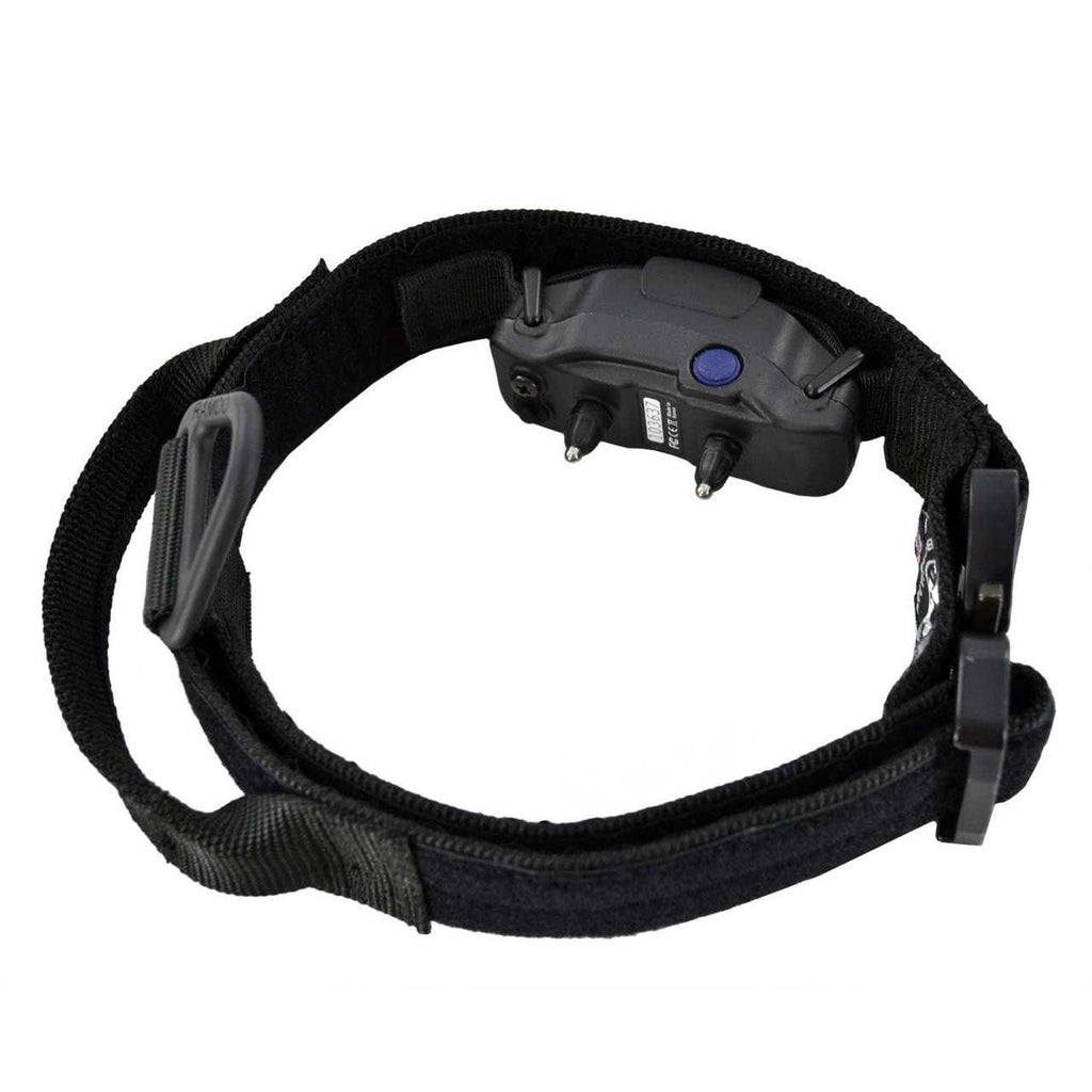 ID Collar I90568