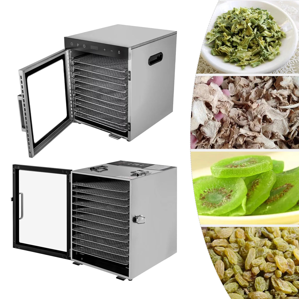 10 Trays Stainless Steel Electric Food Dehydrator F1277