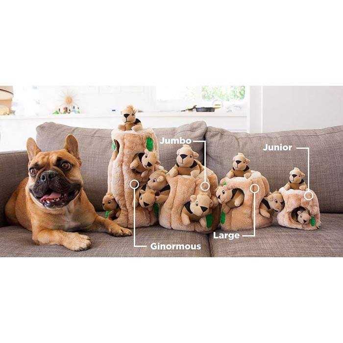 Pet Supplies T444