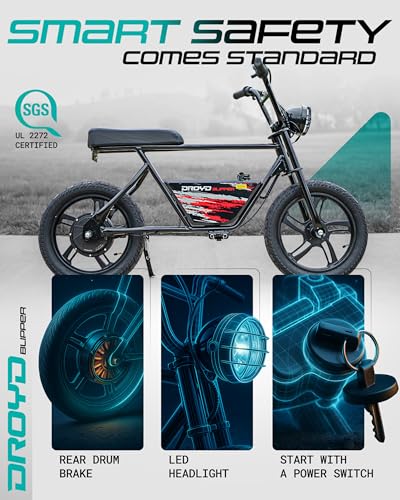 Electric Bike for Kids 13+, 250W, 24V Lithium-Ion Battery, 16" Tires L822561