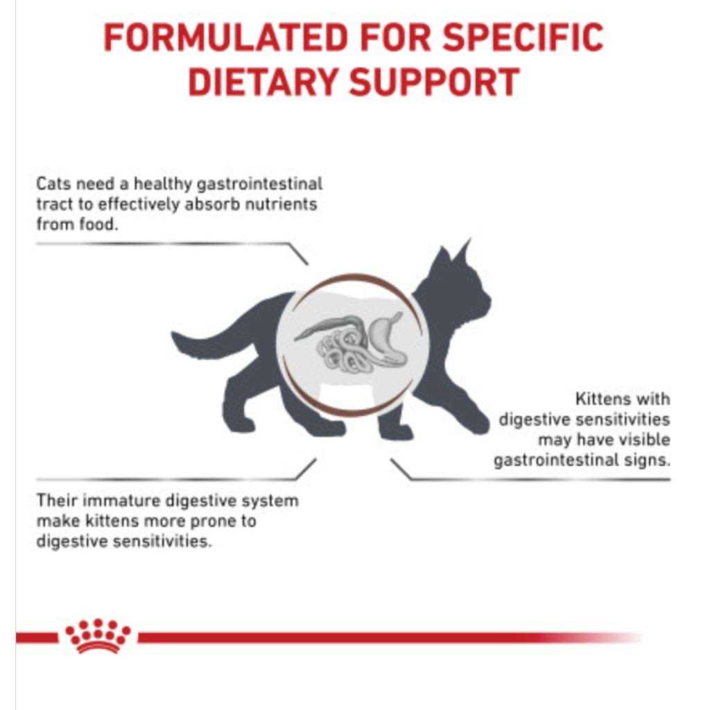 Kitten Dry Cat Food Z136645