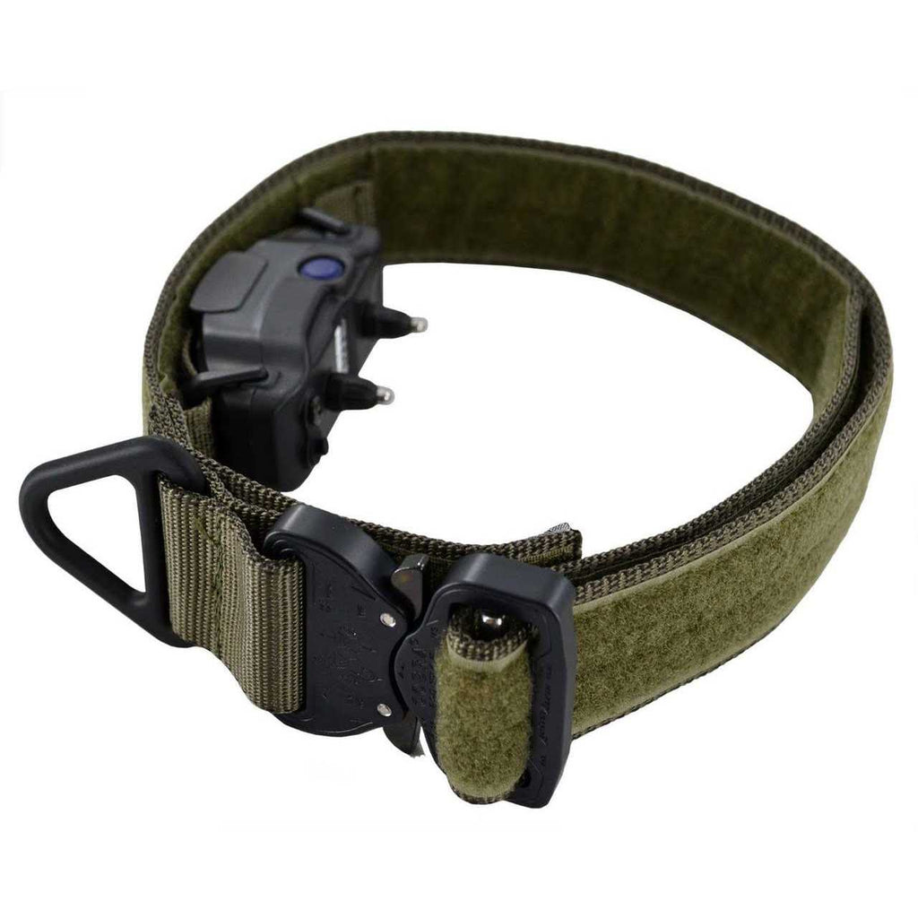 ID Collar I90568