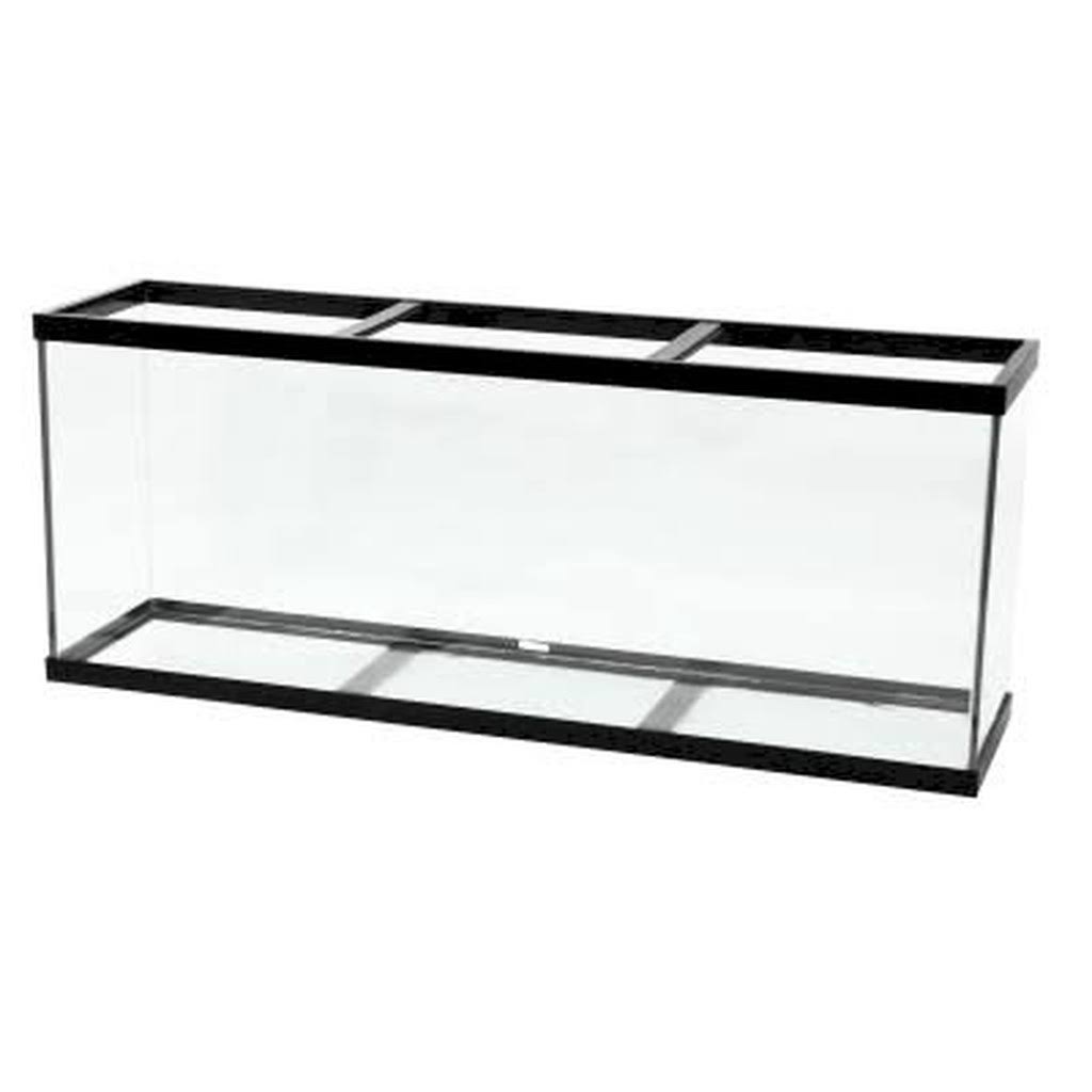 Black Aquarium U350374