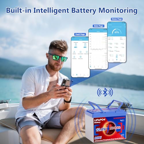 12V 100Ah Lifepo4 Battery, Bci Group 24, Built-In 100A Smart BMS I76962