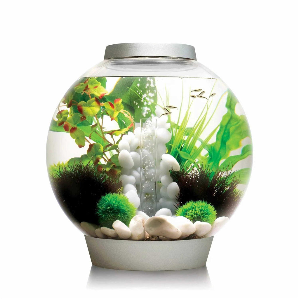 biOrb CLASSIC Collection H76088