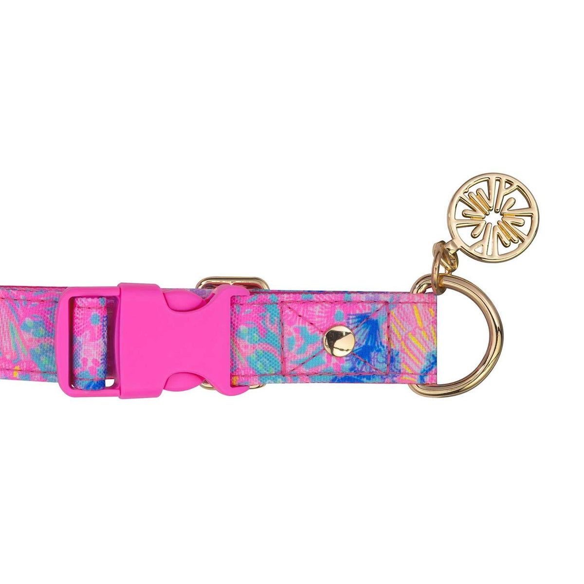 Dog Collar V471