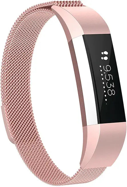 Stainless Steel Mesh Loop Bands X21188