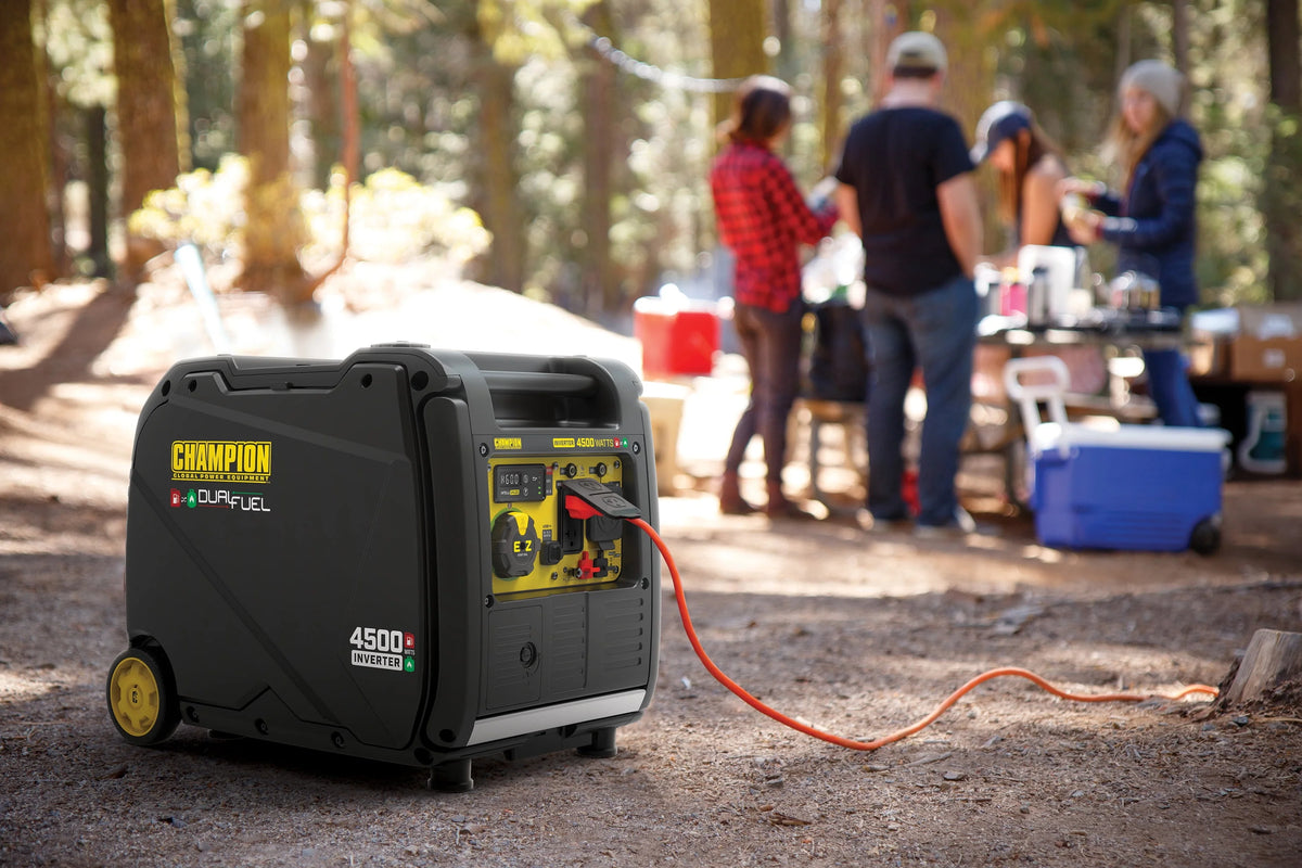 4500-Watt Portable Dual Fuel Inverter Generator F730