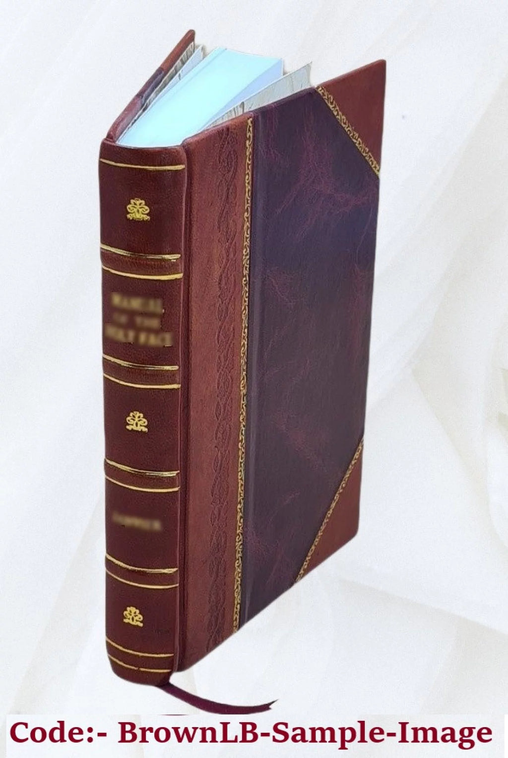 Leather Bound Encyclopedia of Fine Arts D655