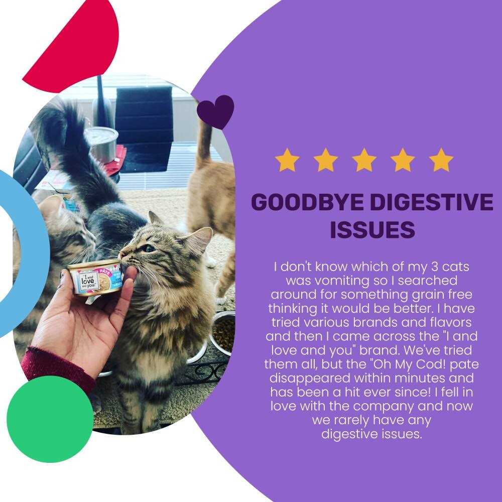 Grain Free Canned Cat Food V999