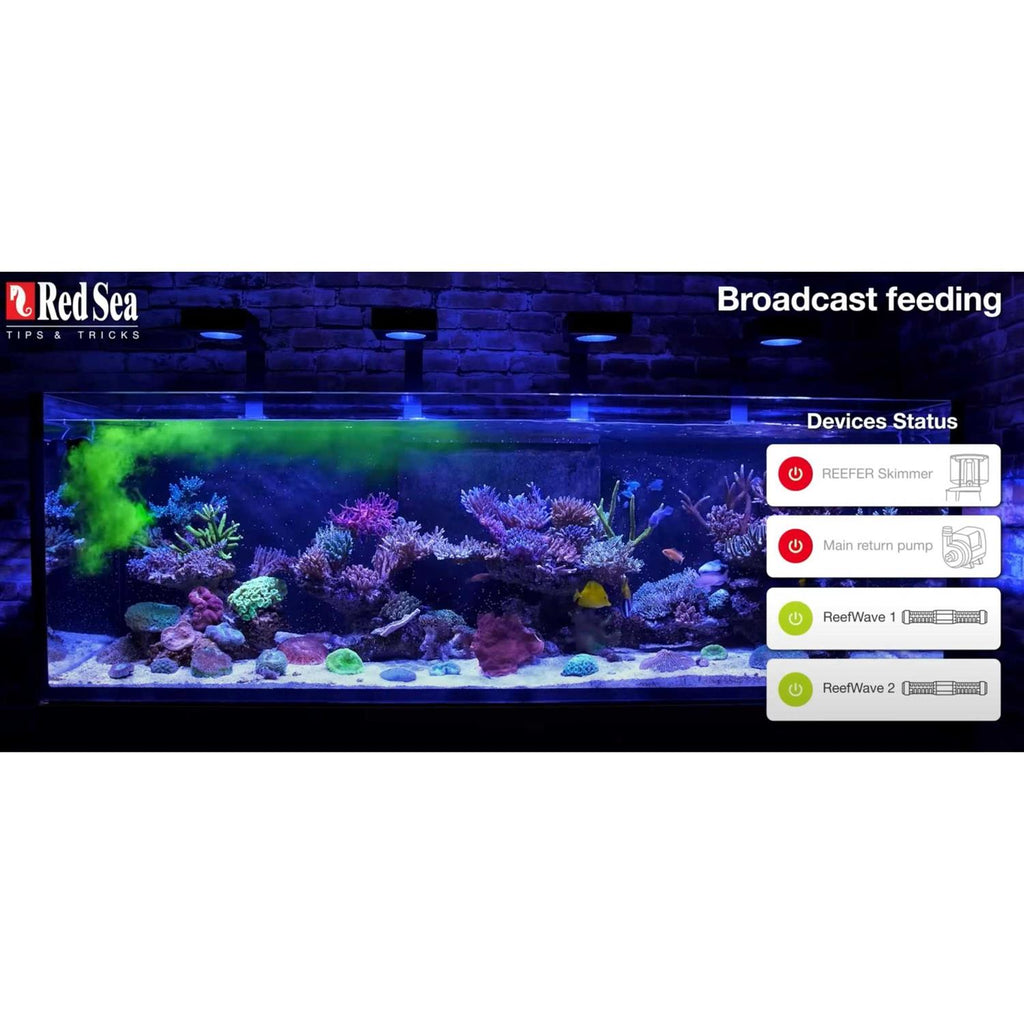 Reef Energy AB+ Plus Coral Nutrition J163892