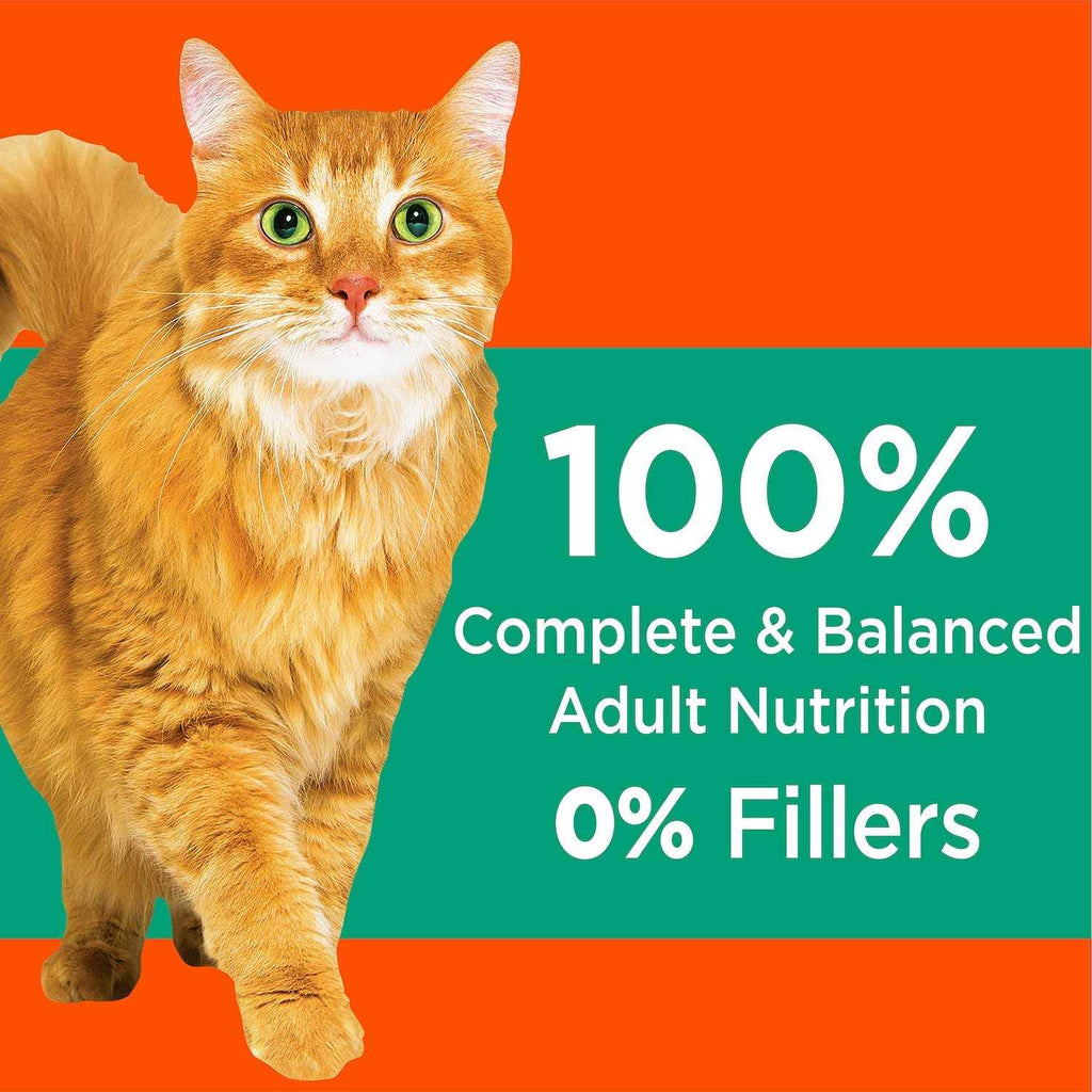 Adult Cat Dry Food Q14639