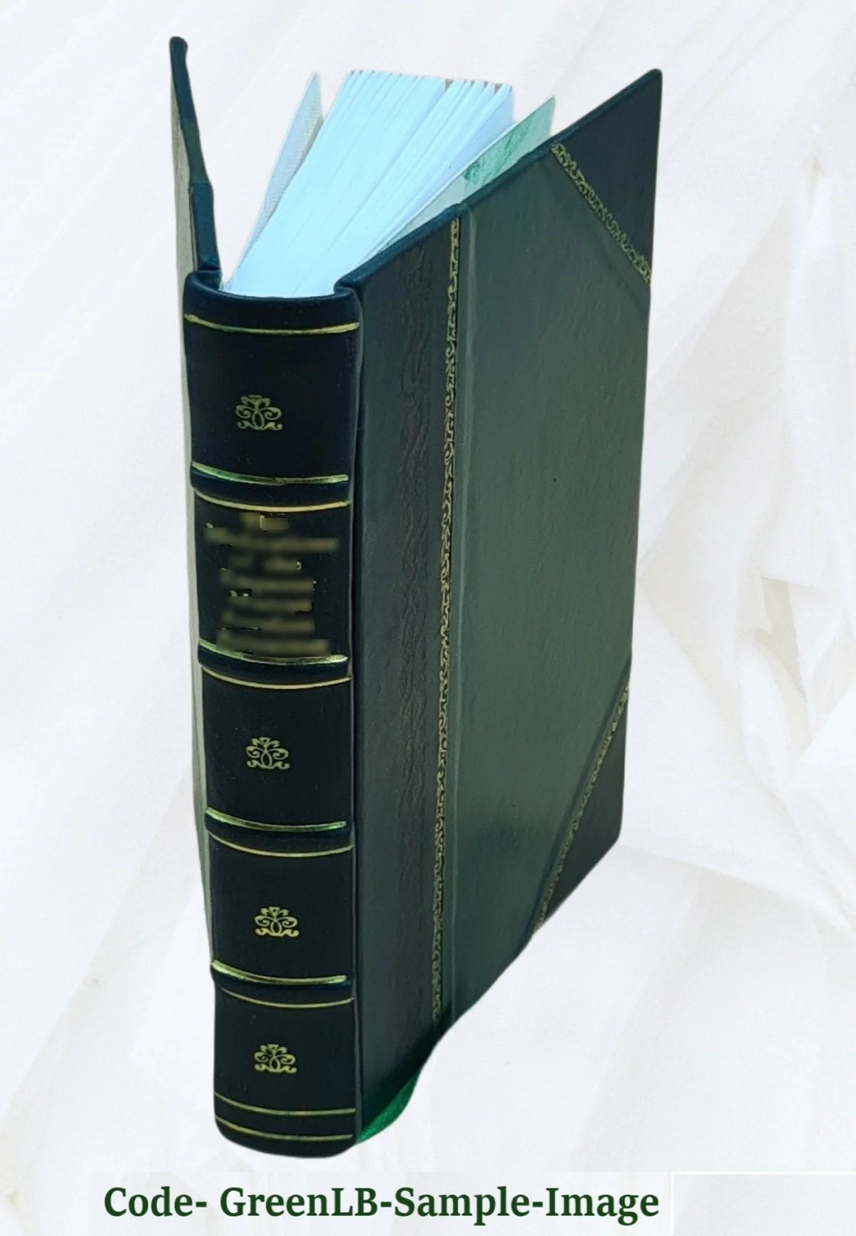 Leather Bound Encyclopedia of Fine Arts D655