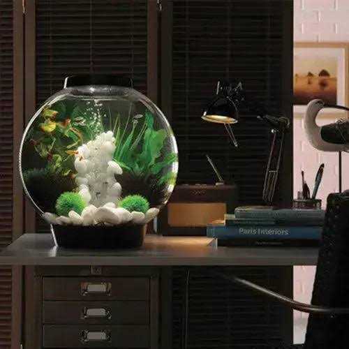 biOrb CLASSIC Collection H76088