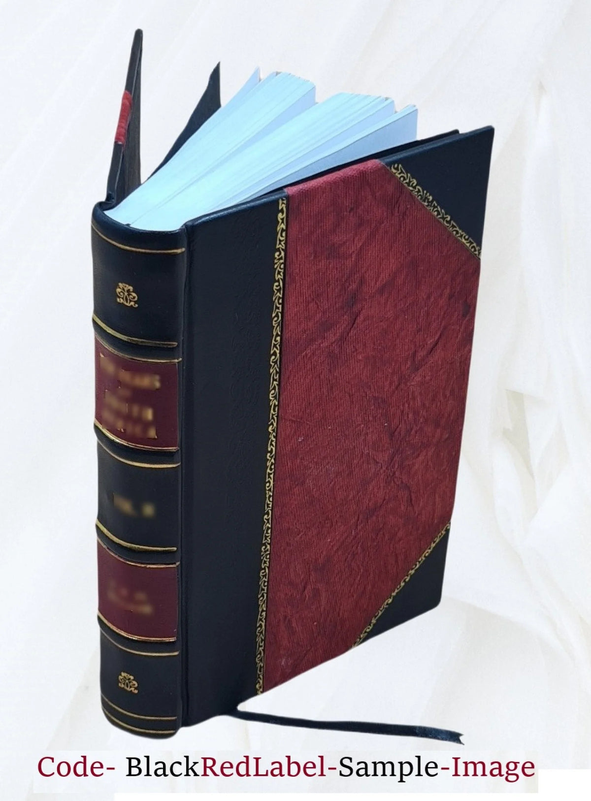 Leather Bound Encyclopedia of Fine Arts D655