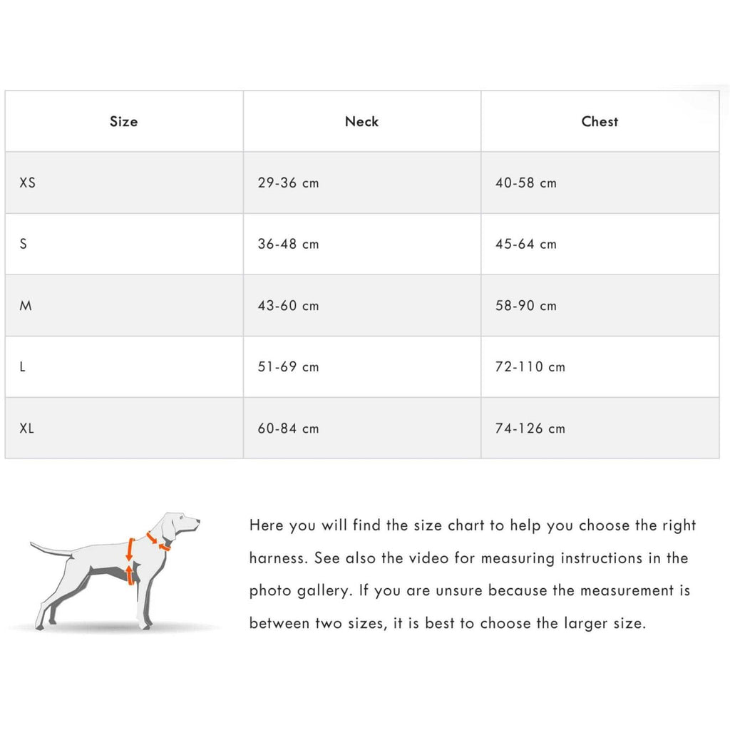 Dog Harness H78062